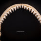 Bull Shark Jaw for Sale top