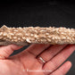 Shark Ray Dorsal Spine