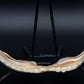 Bramble Shark Jaw