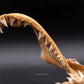 Great White Shark Jaw w/DATA