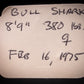 Bull Shark Jaw w/DATA