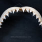 Juvenile Great White Shark Jaw with DATA 5'7" ex Dr. Gordon Hubbell