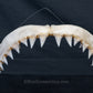 Juvenile Great White Shark Jaw with DATA 5'7" ex Dr. Gordon Hubbell