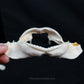 Spiny Dogfish Jaw w/data