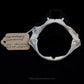 Lowfin Gulper Shark Jaw w/data ex Dr. Gordon Hubbell