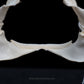 Mexican Smooth-Hound Jaw w/data