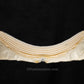 Greenland Shark Jaw W/Data