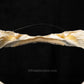 Greenland Shark Jaw W/Data