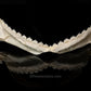 Prickly Shark Jaw W/Data