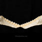 Prickly Shark Jaw W/Data