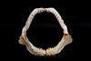 XLG Hemipristis Shark Jaw Snaggletooth