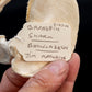 Broadfin Shark Jaw