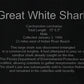 XXL Great White Shark Jaw with DATA 15'6.5" ex Dr. Gordon Hubbell