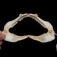 Blackspot Shark Jaw ex Dr. Gordon Hubbell