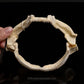 Plunket Shark Jaw with Data ex Dr. Gordon Hubbell