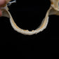 Japanese Topeshark Jaw ex Dr. Gordon Hubbell