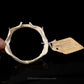Shortnose Sawshark Jaw with Data ex Dr. Gordon Hubbell