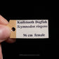 Knifetooth Dogfish Jaw with Data ex Dr.Gordon Hubbell