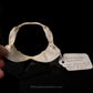 Flapnose Houndshark Jaw w/DATA ex Dr. Gordon Hubbell