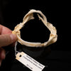 Smallfin Gulper Shark Jaw w/DATA ex Dr. Gordon Hubbell