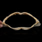 Whitetip Reef Shark Jaw ex Dr. Gordon Hubbell