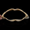 Whitetip Reef Shark Jaw ex Dr. Gordon Hubbell