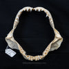 Rare Juvenile Great White Shark Jaw with DATA 4'8" ex Dr. Gordon Hubbell